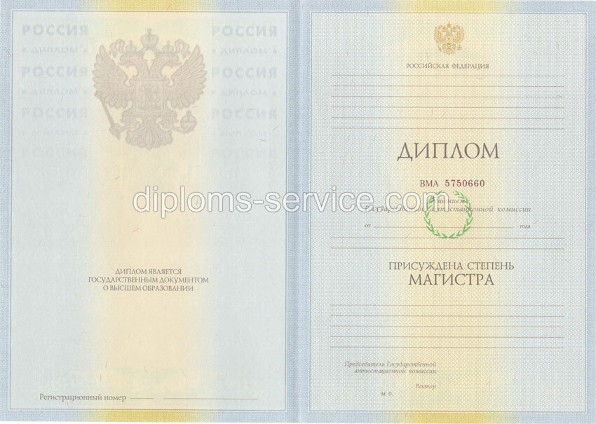 Диплом магистра 2010-2011 годов-фото1