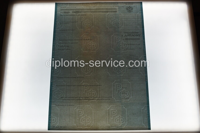 Диплом магистра 2010-2011 годов-фото10