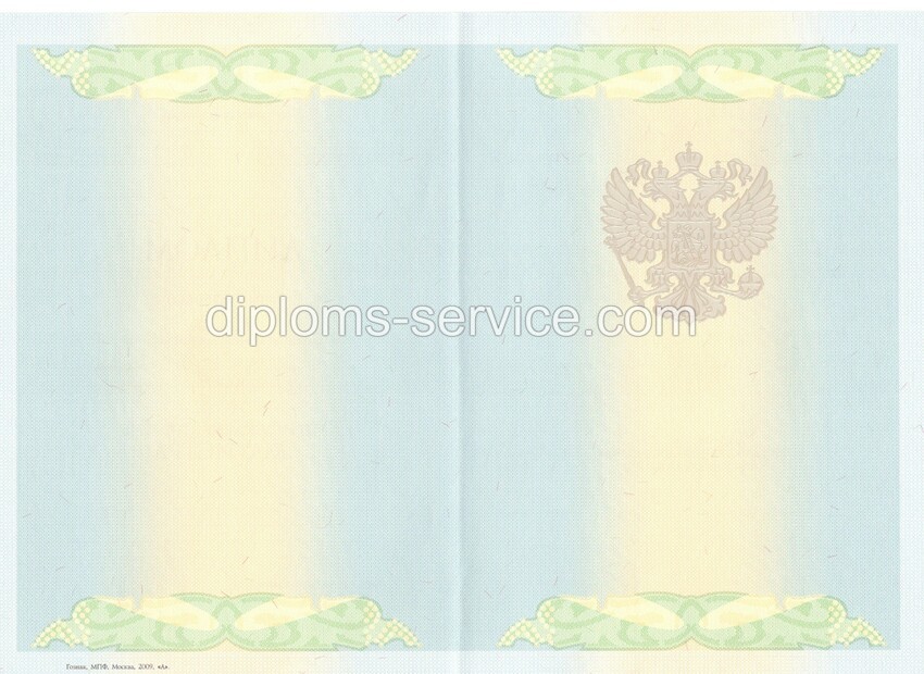 Диплом магистра 2010-2011 годов-фото2