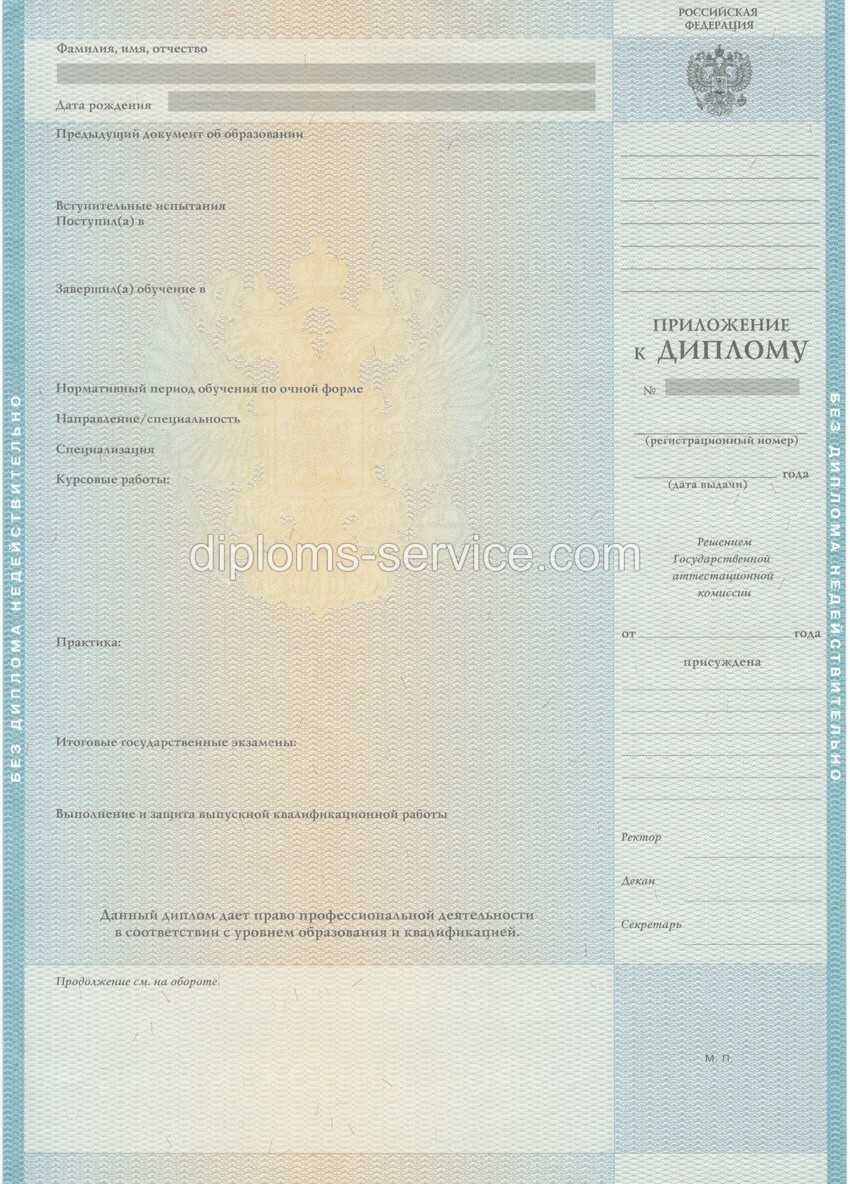 Диплом магистра 2010-2011 годов-фото3