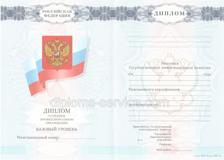 Диплом о среднем образовании 2007-2010 годов-фото1