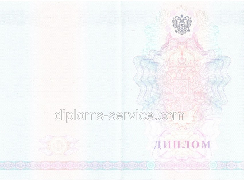 Диплом техникума 2007-2010 годов-фото2