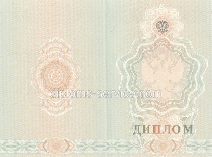 Диплом о начальном профессиональном образовании 2007-2009 годов-фото2